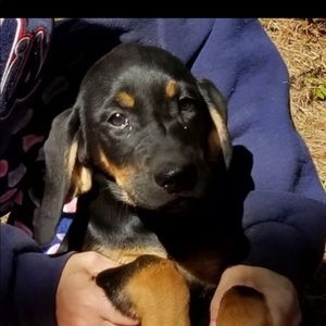 Meet your Posher, Bradfield